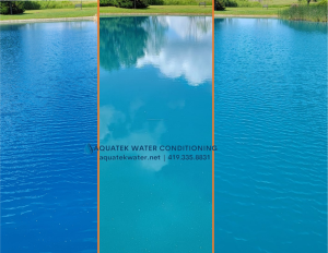 Image of the same pond with Crystal Blue at different times. 